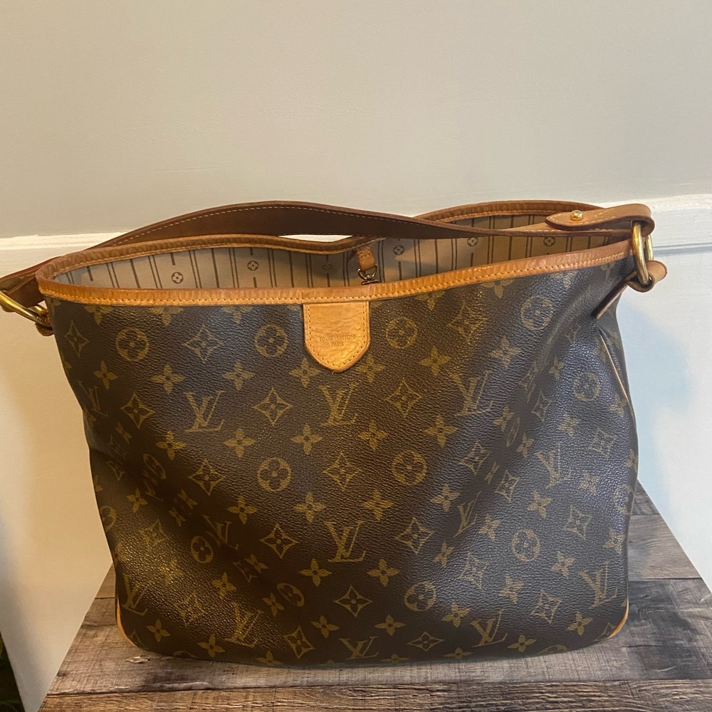 RARE Louis Vuitton Delightful bag